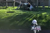 アドベンチャーワールド