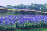 名城公園