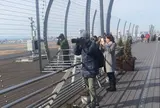 羽田空港国際線ターミナル 展望デッキ