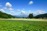 トトロの森