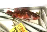 片瀬漁港鮮魚直売所