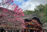 太宰府天満宮