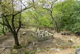 小谷城 本丸跡