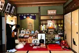 猫猫寺