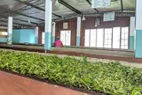 Mackwoods Tea Center