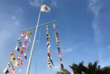 葉山マリーナ
