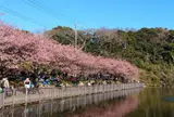 小松ケ池公園
