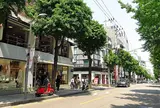 カロスキル/가로수길