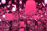 デジタルアート ミュージアム（MORI Building Digital Art Museum: EPSON teamLab Borderless）