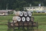 天橋立ワイン（株）