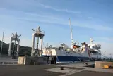 三崎港