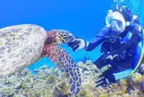 慶良間諸島周辺