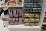 ポケモンセンターキョウト