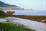 竜宮神