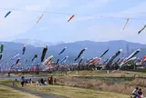 相川水辺公園（右岸）