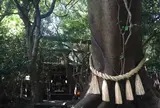 八大龍王水神