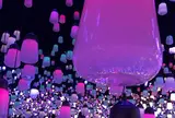 デジタルアート ミュージアム（MORI Building Digital Art Museum: EPSON teamLab Borderless）