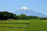 大淵笹場