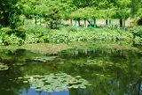 北川村「モネの庭」マルモッタン
