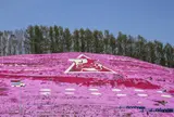 ひがしもこと芝桜公園