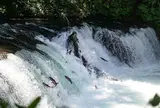 さくらの滝