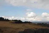 種差海岸