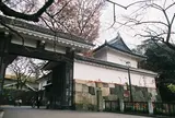 田安門  🌸見頃