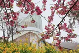 西平畑公園