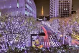 六本木ヒルズけやき坂通り
