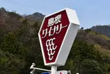 島根ワイナリー