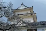 小田原城