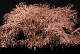 六義園