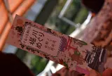 ぐるっと松江堀川めぐり