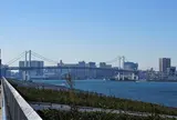 豊洲市場 屋上緑化広場