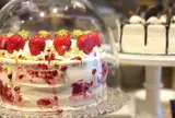 FRANZE & EVANS LONDON 表参道店 （フランツアンドエヴァンスロンドン）