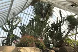 伊豆シャボテン公園