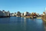 中洲