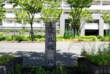 大塩の乱 槐(えんじゅ)跡