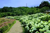 Wonderful Nature Village