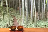 報国寺（竹寺）