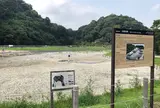 二階堂