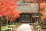 平林寺