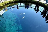 忍野八海