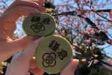 アルブルノワール