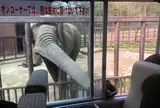東北サファリパーク