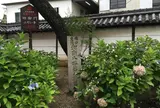 藤井寺