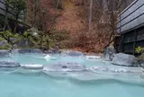 蔵王温泉 源七露天の湯