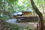 七本杉（天岩戸神社東宮）