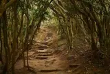 芥屋の大門公園