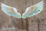 パームビーチ 天使の羽
